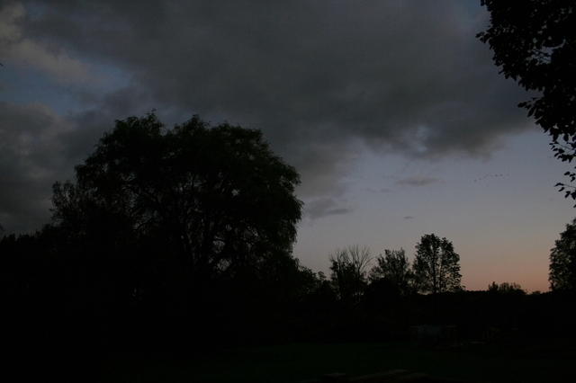 i20061001 2