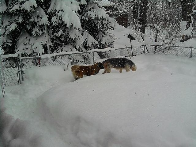 Photo0140