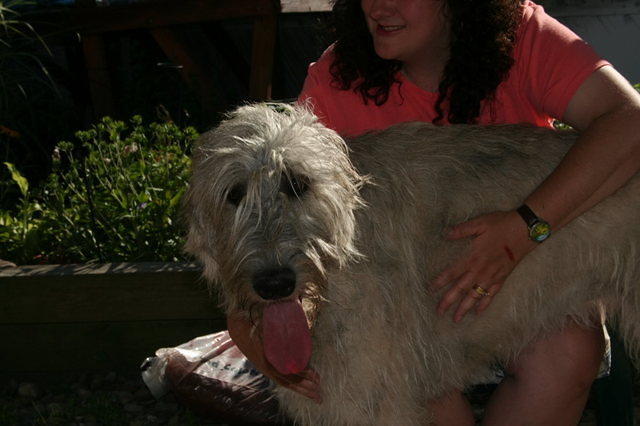 bailey07 27