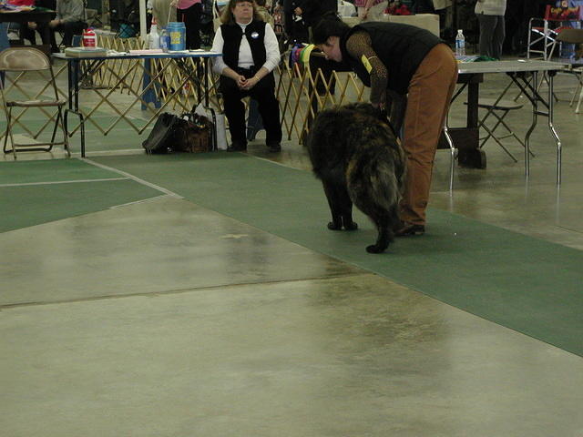 DSCN8721