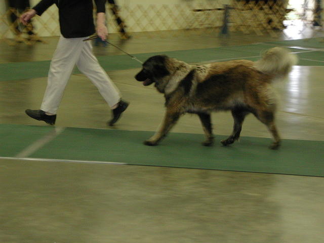 DSCN8726