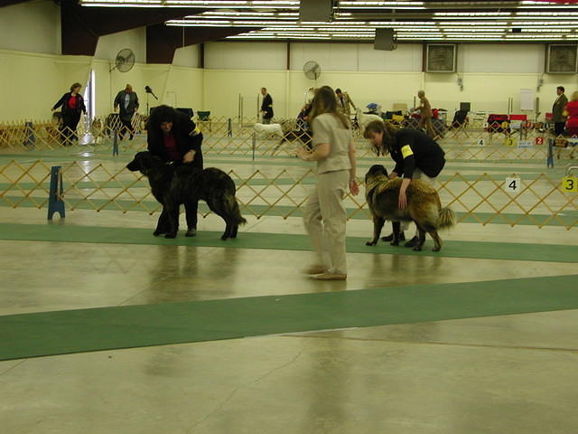 DSCN8728