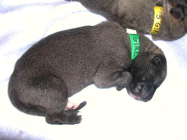 DSCN0307