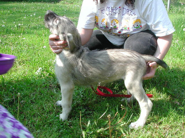 DSCN0674