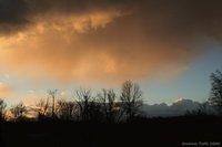 IMG 0921 2 wm