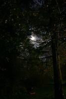 i20061003 1
