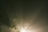 i20061003 2