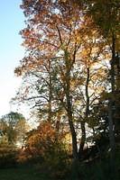 i20061008 4