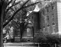 mcallister crop 1100 wm 001