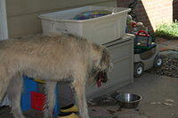 bailey07 24