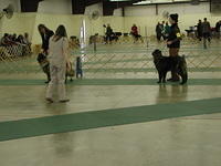 DSCN8727
