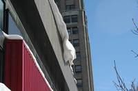 Img 2089rs