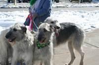 Img 2094rs